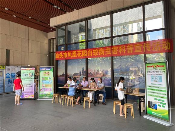 白蚁病虫害科普宣传活动
