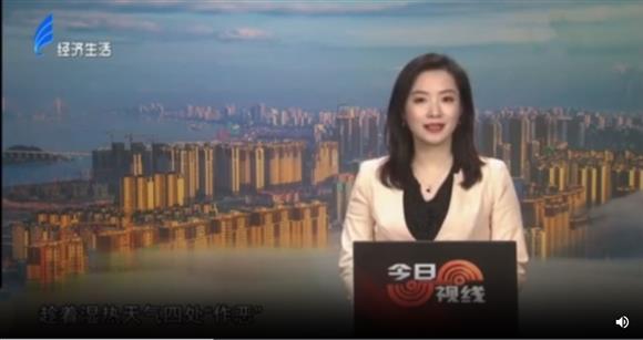 小心！令人头皮发麻的白蚁又来了