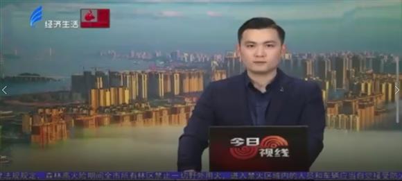 路树受蛀令人忧