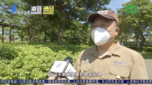 绿化白蚁防治科普报道