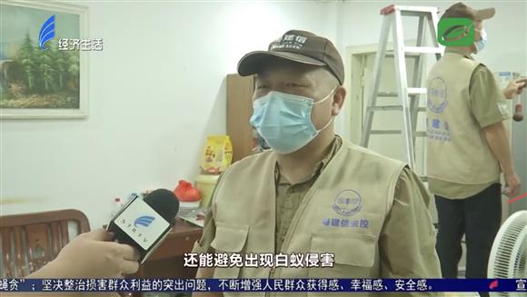 房屋白蚁防治科普报道