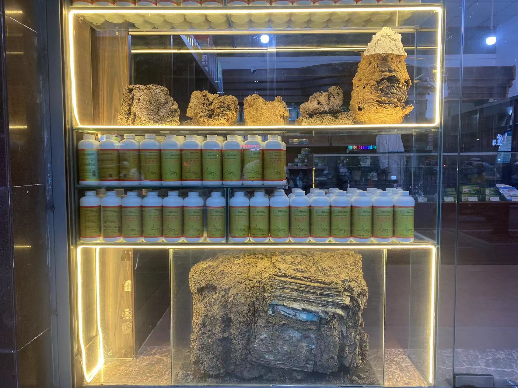 巢穴展示