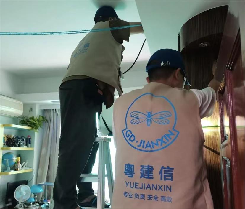 蛀虫查治