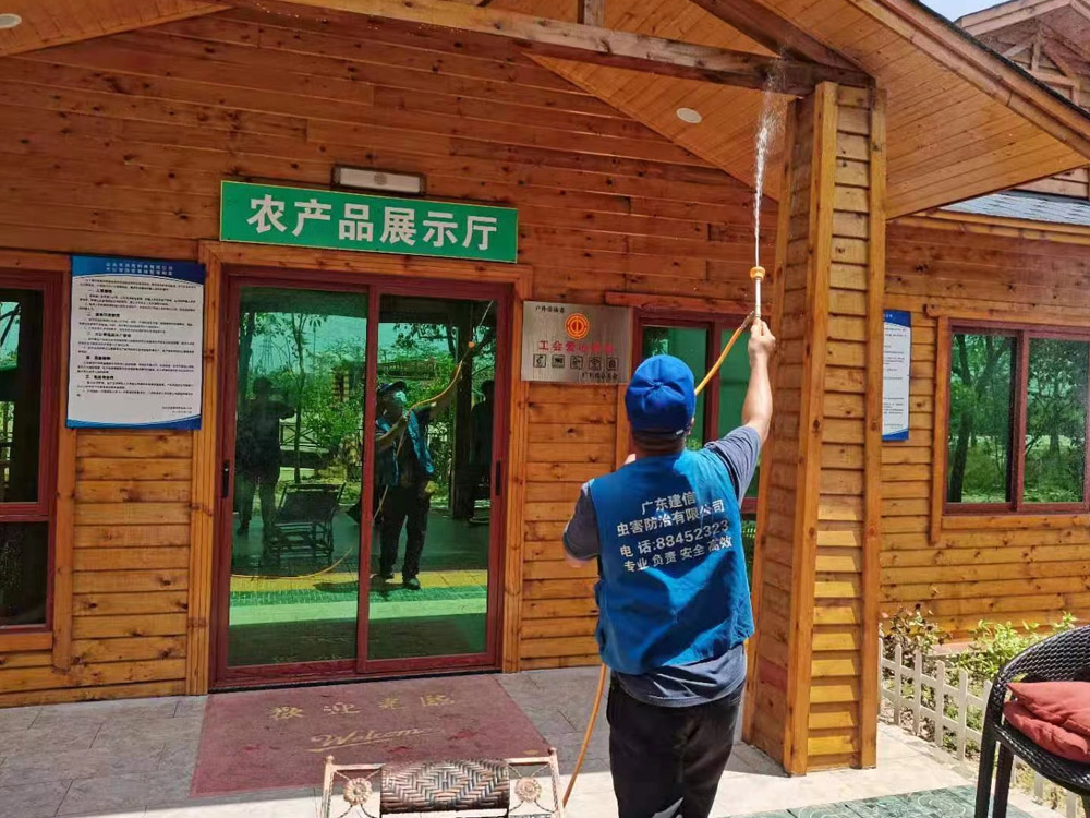 木屋白蚁预防